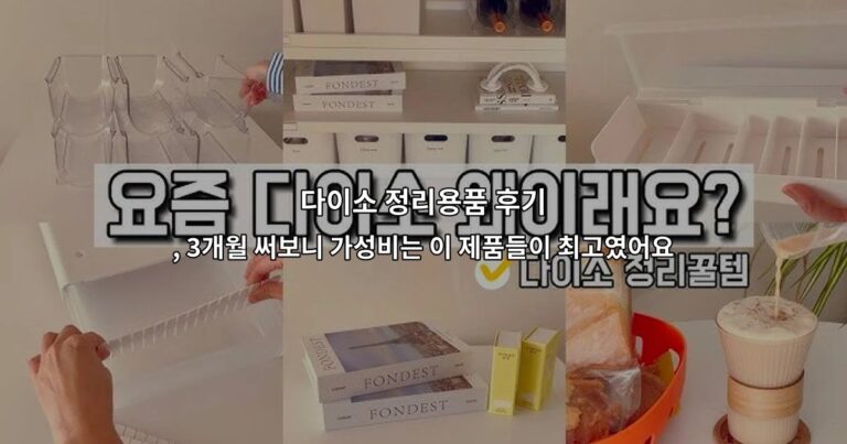 다이소 정리용품 후기 , 3개월 써보니 가성비는 이 제품들이 최고였어요