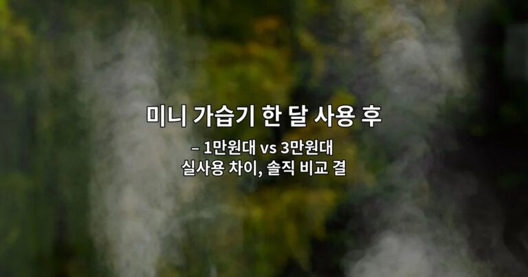미니 가습기 한 달 사용 후기: 소음과 세척 편의성 비교 – 1만원대 vs 3만원대 실사용 차이, 솔직 비교 결과